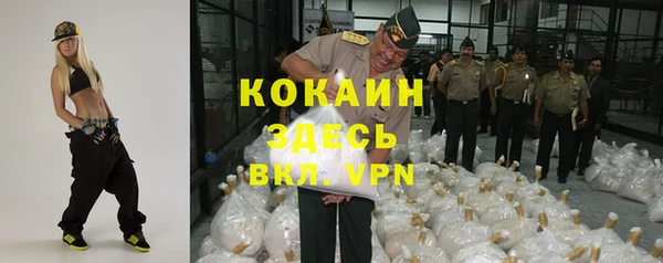 индика Волоколамск