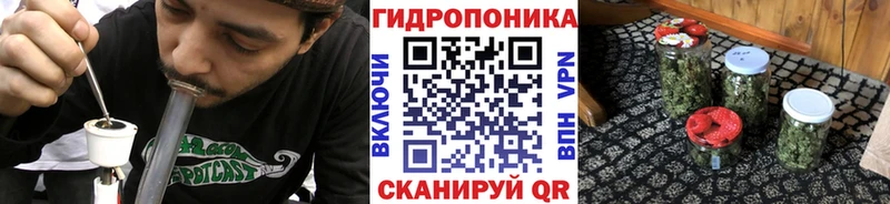 Бошки марихуана Bruce Banner  Ярославль 